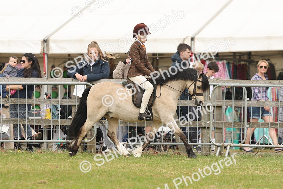 SBM_07093 - Class 76-77 - Ridden M&M Welsh Ponies