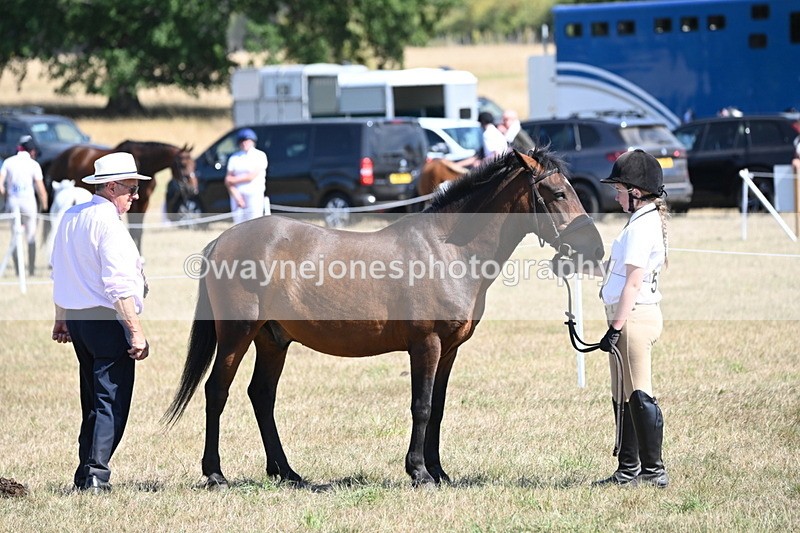 WJ6_9254 - Championship Classes 33-38