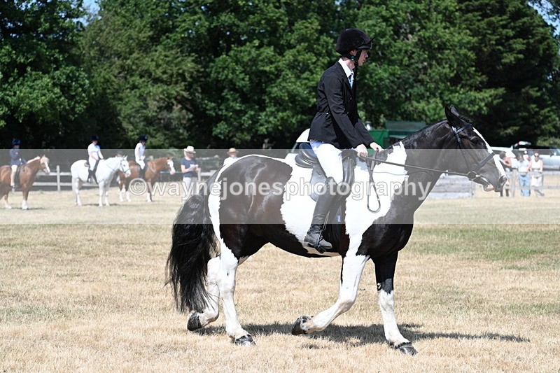 WJ7_3424 - Class 8 Ridden Veterans