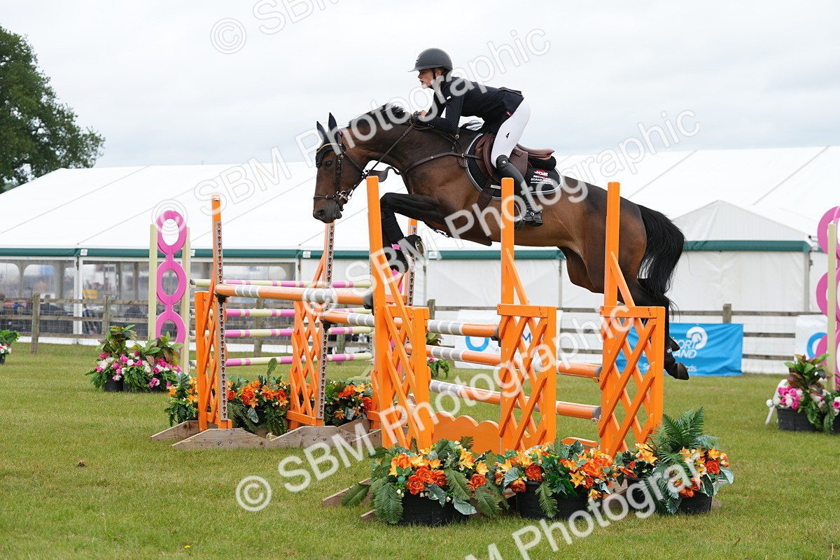 SBM_03093 - Class 201 - British Horse Feeds Speedi Beet Horse of the Year Show Grade  C