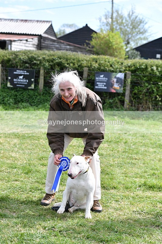 WJ5_0631 - Class 7 Best Terrier