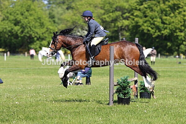 IMG_4060 - Working Hunter