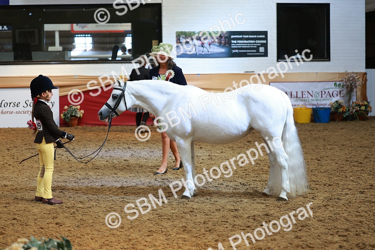 SBM_10724 - Class 103 - HOYS Veteran Qualifier - Ridden Pre Vet