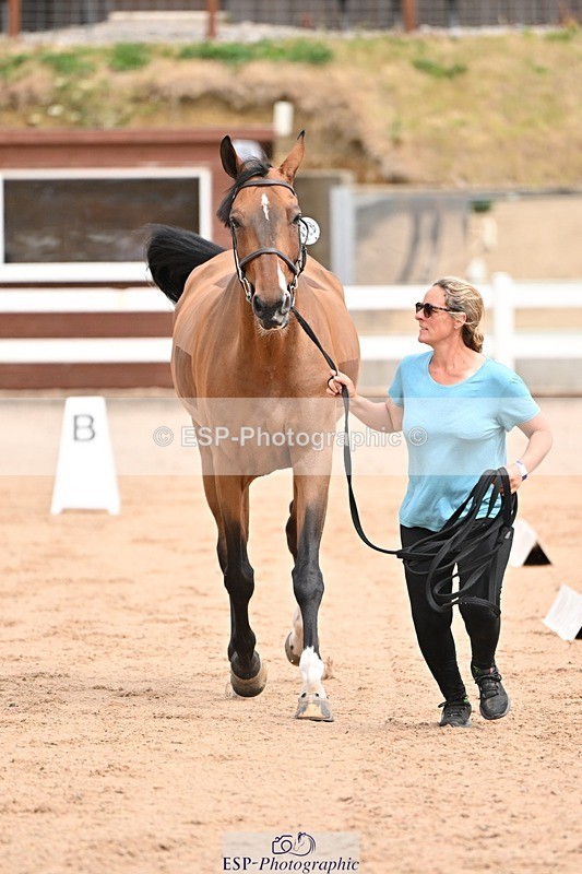 250716-150838-01677 - Trot Up 2.30 to 3.30