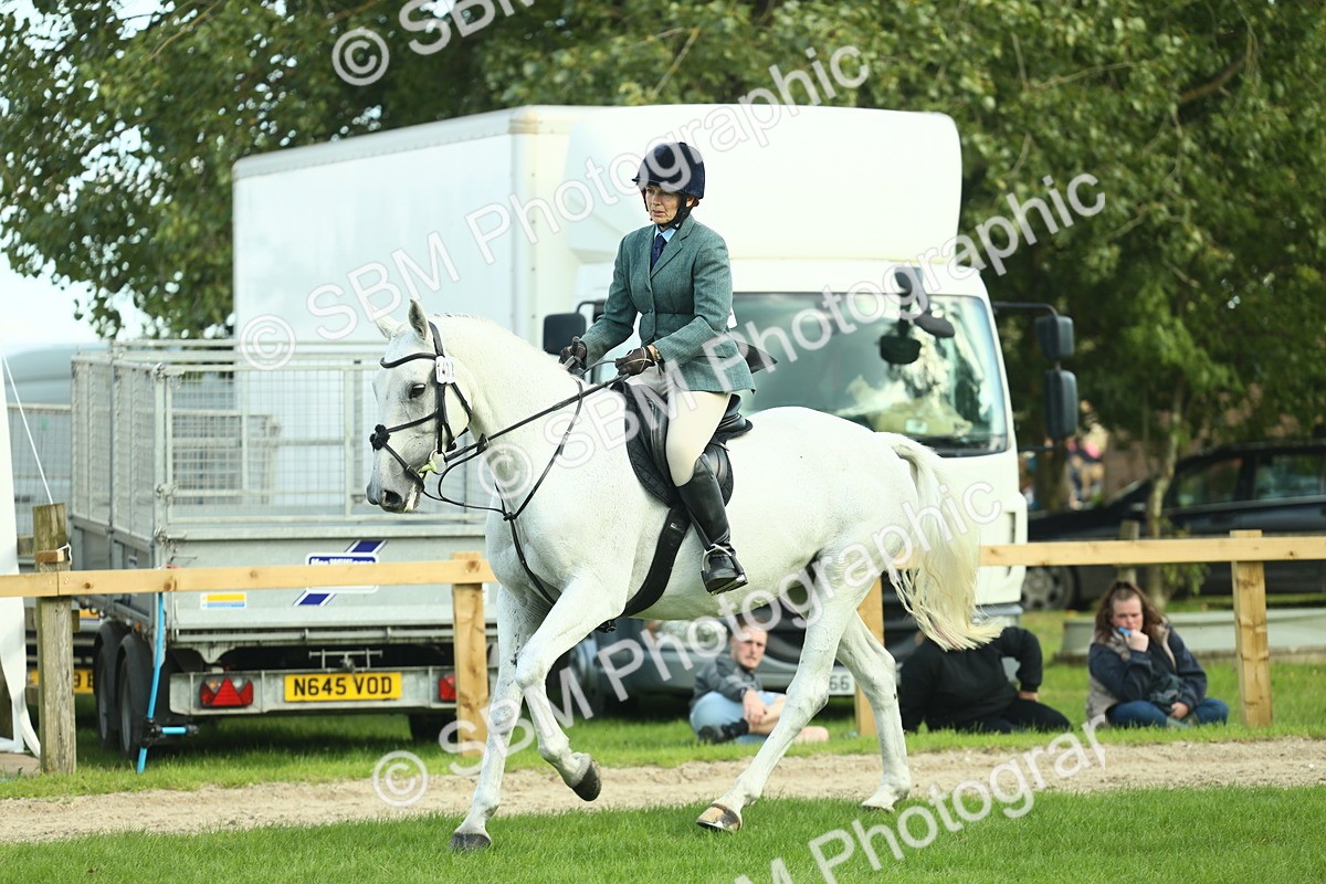 SBM_50700 - S33 - Working Hunter & Working Show Horse
