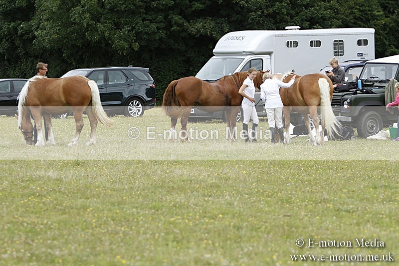 BVR160717-1276 - Caught on Camera 16/07/17