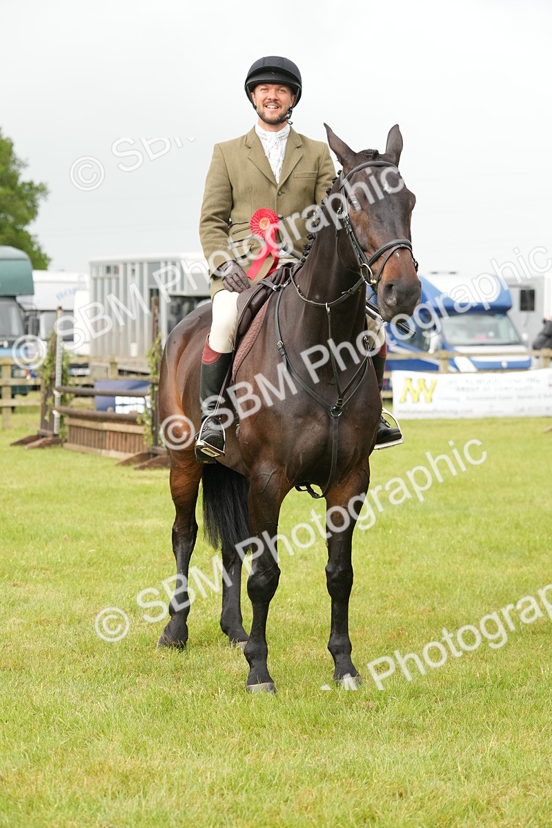 SBM_12799 - Class 97-98 - LIHS BSHA Rising Star Working Show Horse Hunter