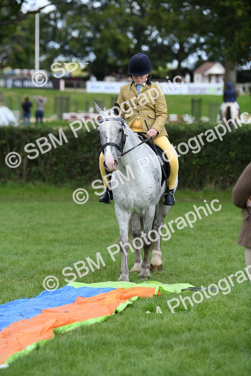 SBM_47177 - S12 - Family Horse & Pony