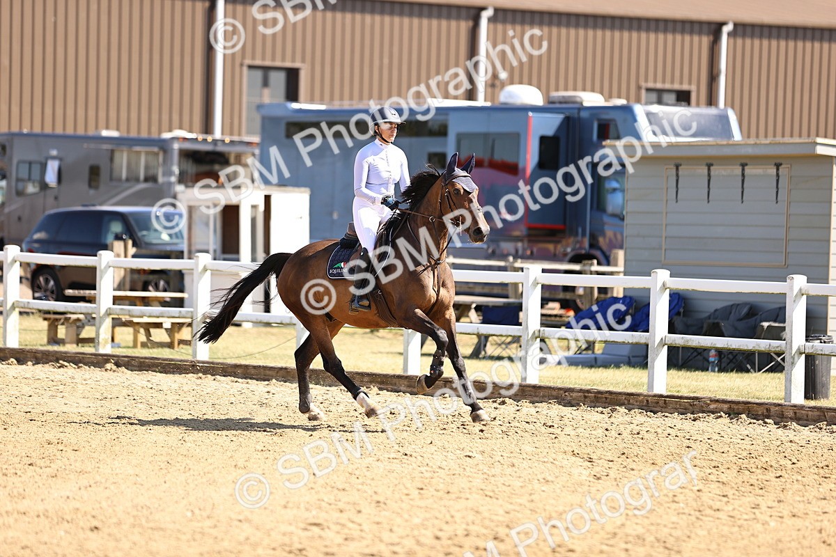 SBM_015381 - Class 16 - Senior foxhunter - 1.20m Open