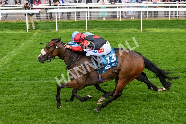 150524-Race 5-Diligent Resdev-4446 - Race 5 4.15pm Conundrum HR Consulting Handicap