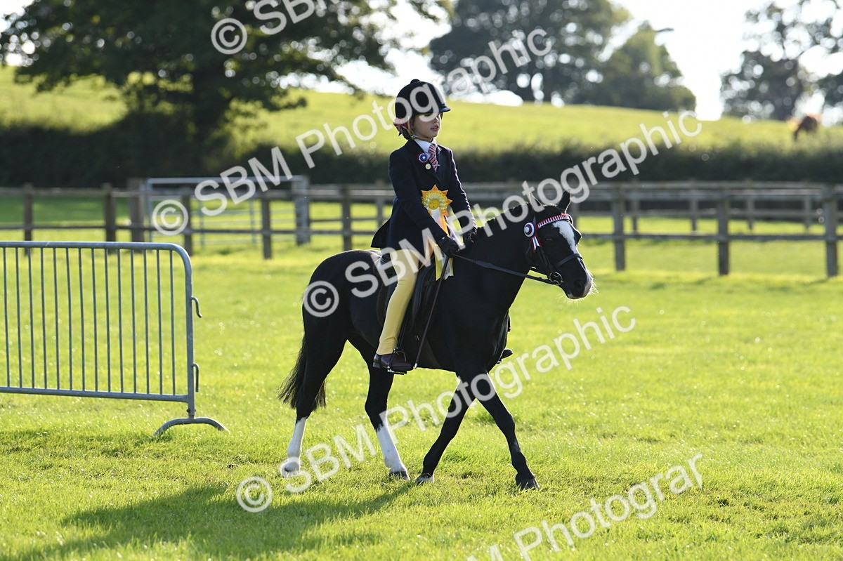 SBM_52468 - S22 - 1st Ridden Show & Show Hunter Pony