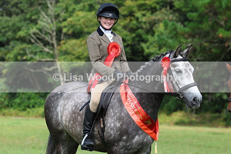 3E7A6170 - Working Hunter Championship