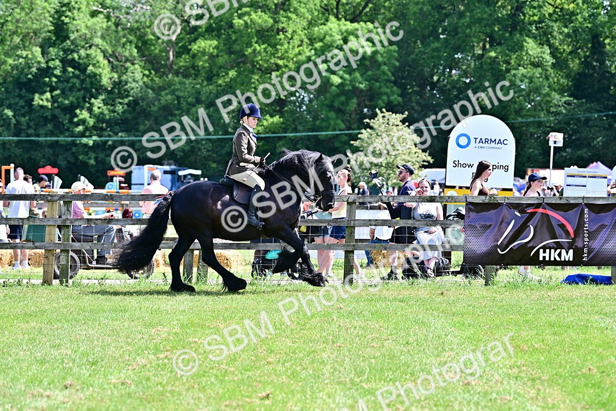 SBM_07910