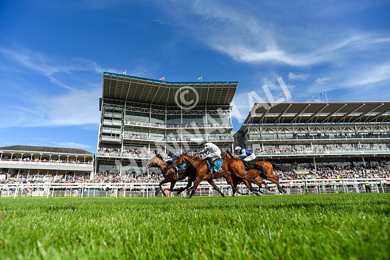060926-Race 6-Power Fizz-2-4 - Race 6 4.25pm Eboracum Security Handicap