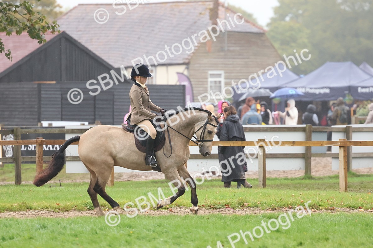 SBM_73060 - S63 Show Pony & Show Hunter Pony Ridden