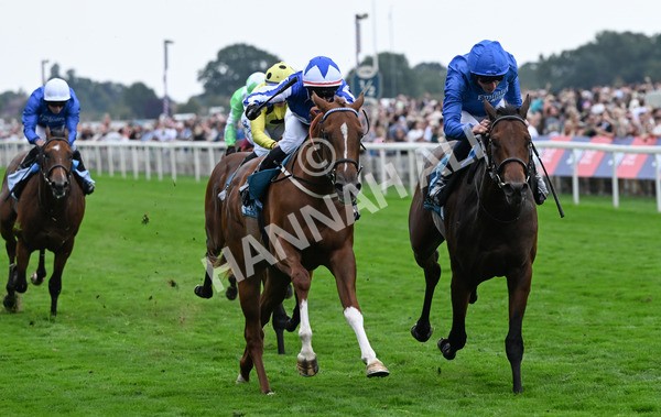 230825-252 Revival Power - Race 6 4.45pm Julia Graves Roses Stakes