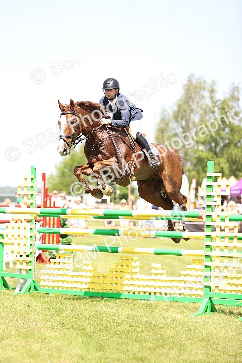 SBM_04055 - Class 201 - British Horse Feedds Speedi Beet HOYS Grade C
