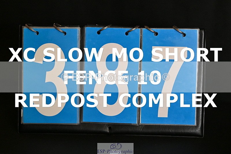 ESP_387 - E-387-Vittoria.Panizzon