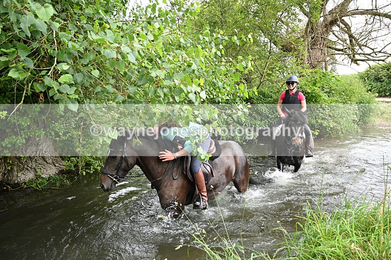 WJ7_2328 - Camera 2 Water Crossing