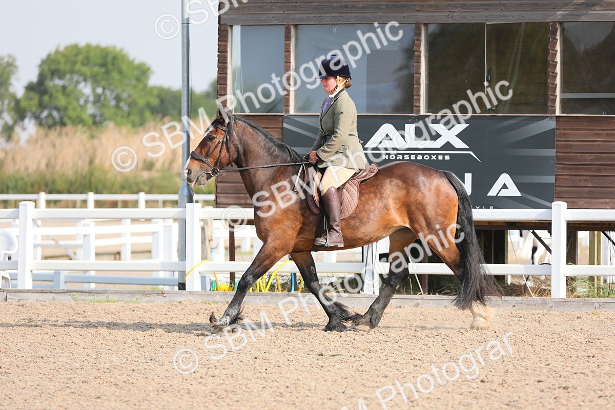 SBM_10923 - Class 304 Ridden Part Bred Horse/Pony