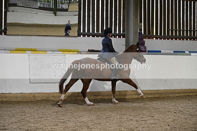 WJ7_3854 - Class 17 Ridden Cob