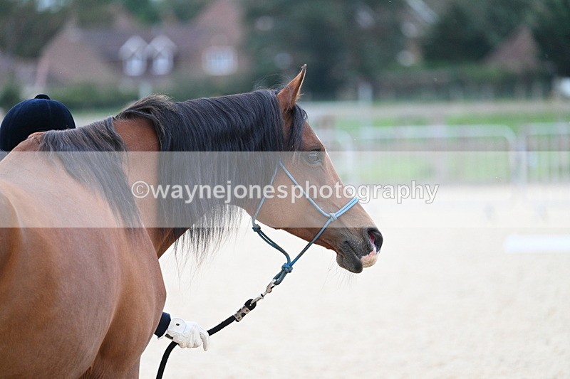 WJ7_1913 - Class 1 & Champs