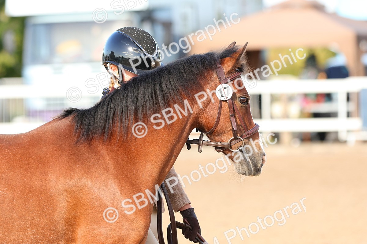 SBM_08639 - Class 203 - Young Handler 10 Years and Under
