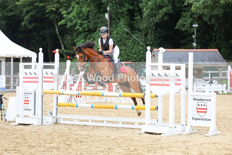 3E7A6904 - Class 14: Pony Discovery/90cm open