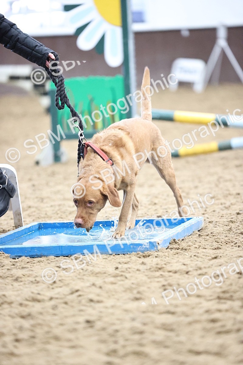 SBM_001310 - Class 3 - Horse & Hound 60cm