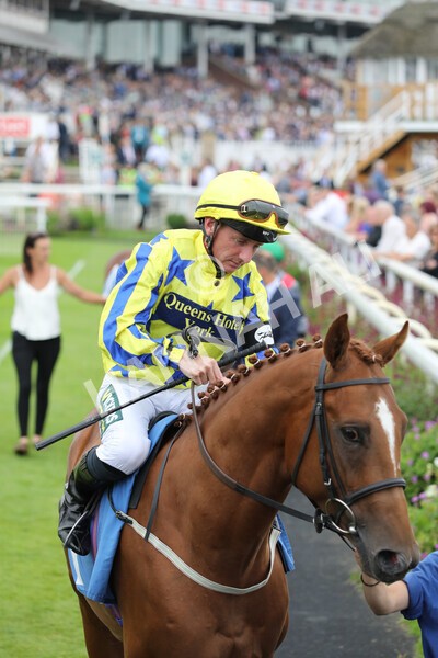 yr24072021r4-4 - Race 4 3.50pm Sky Bet Britain's Most Popular Online Bookmaker EBF Restricted Novice Stakes (Plus 10