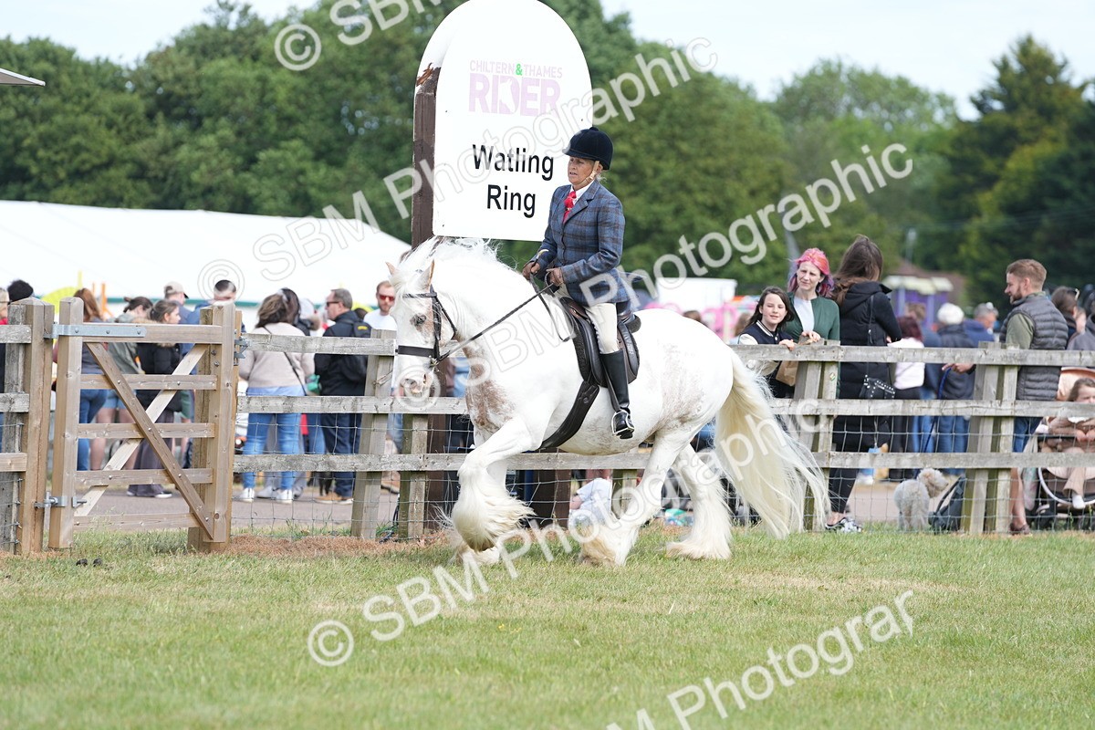 SBM_17166 - Class 107-108 - LIHS BSPS Performance Coloured Horse Pony