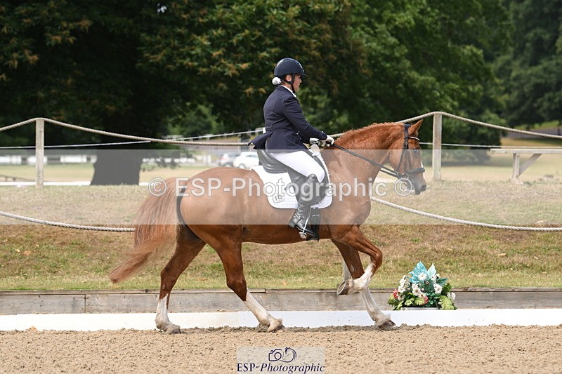 250720A-115125-10037 - 142-Jane.Emmett-Tresorya.Carlo