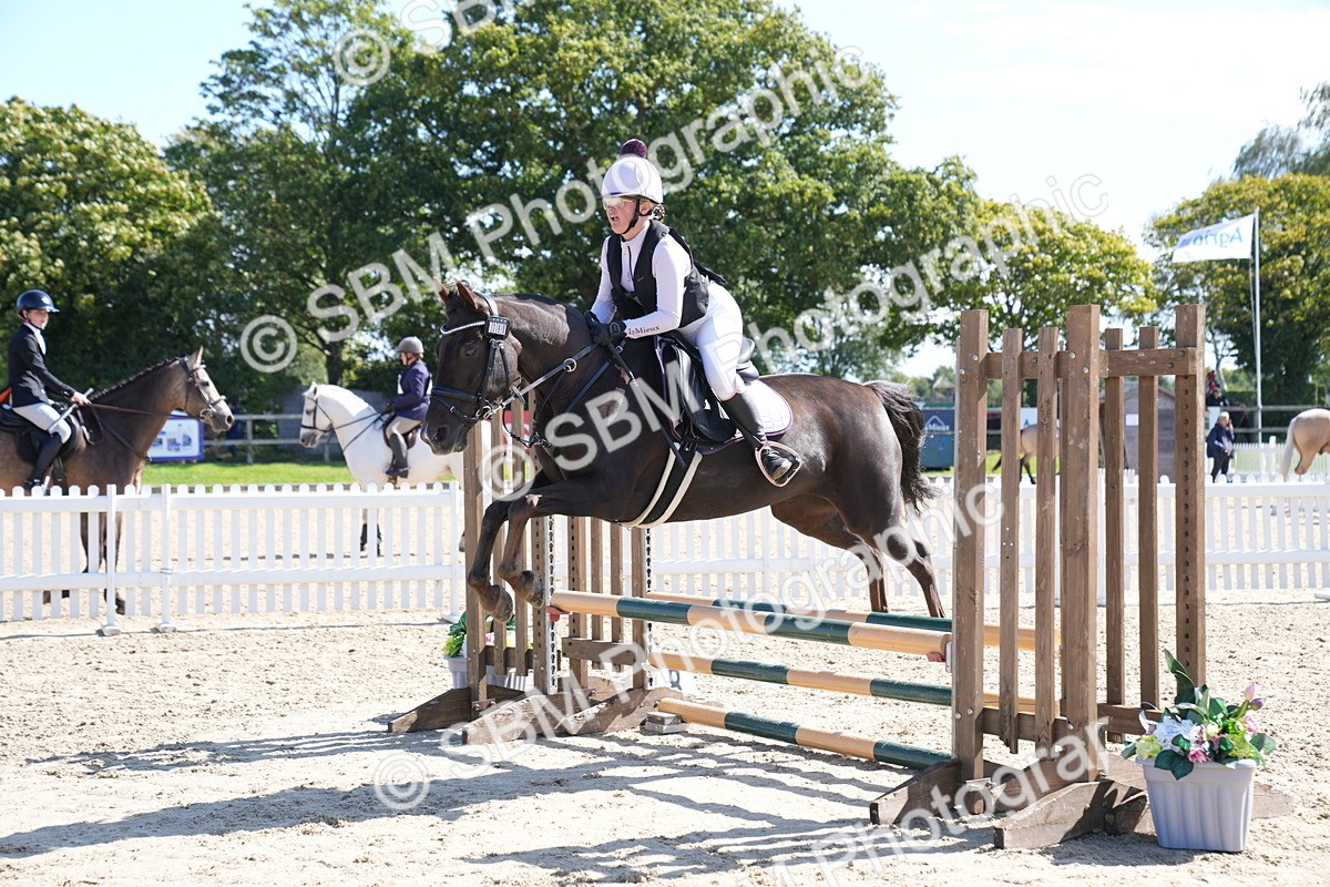 SBM_04901 - J56 - Clear Round 70cm