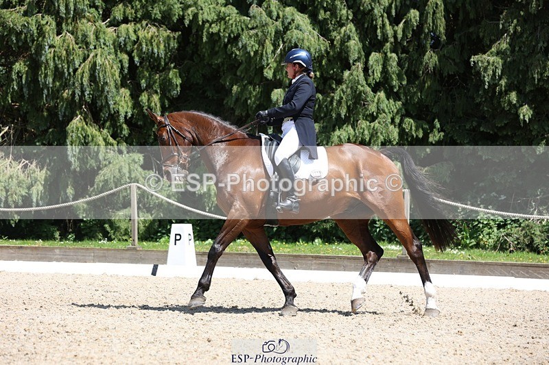 230526-134637-06387 - 368-COIRBAN_SARCO_DELUX-Rebecca_Gibbs-WEDTrotUp+DR