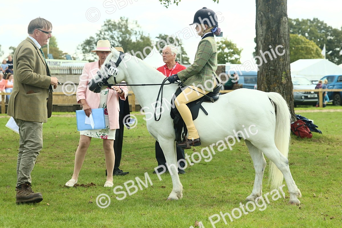 SBM_66486 - S34 - Rehabilitated Rescue Horse & Pony In Hand & Ridden