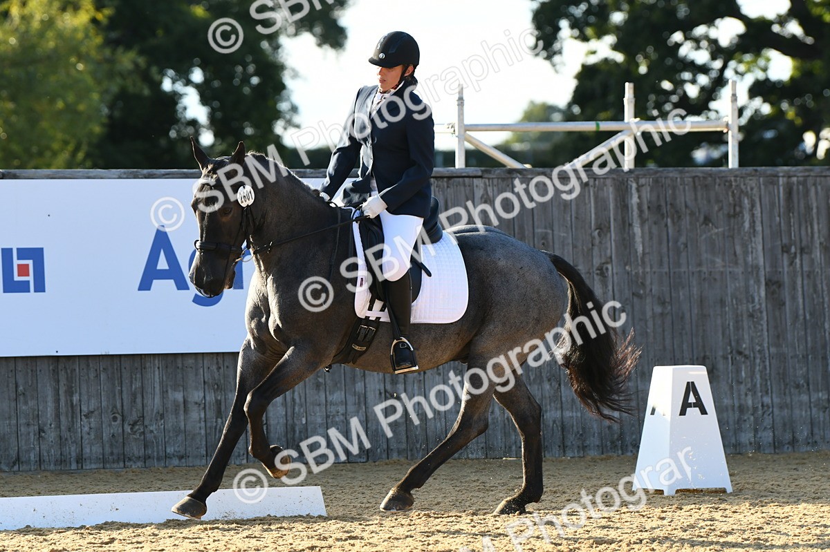 SBM_30714 - D16 - Small Tour Championship - Novice 28