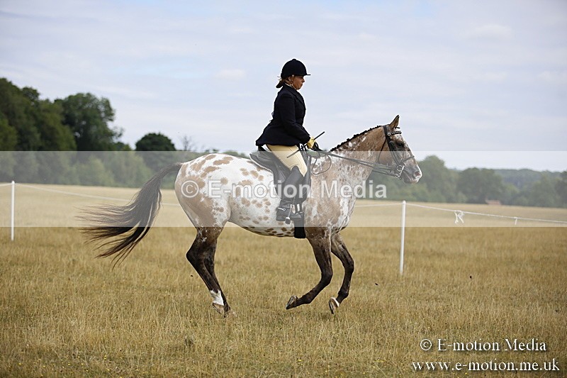 _C7A9496 - BVRC Show 2018 Ring 1