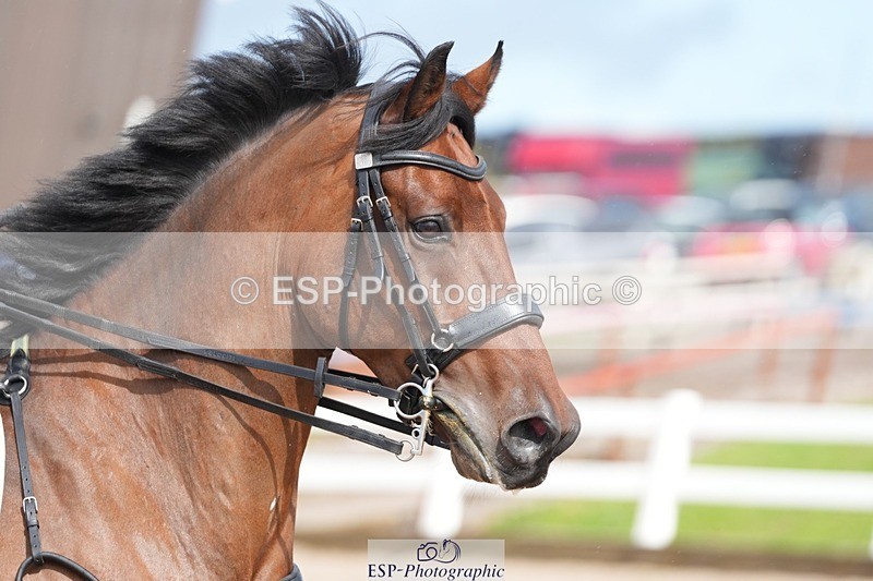 250911-142115-02290 - Cls 13 1.05m Amateur Champ