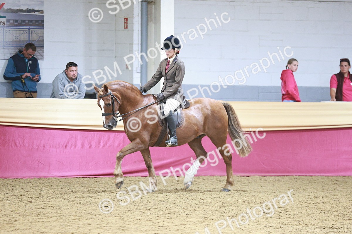 SBM_07129 - Class 10R - Regional Ridden Diamond