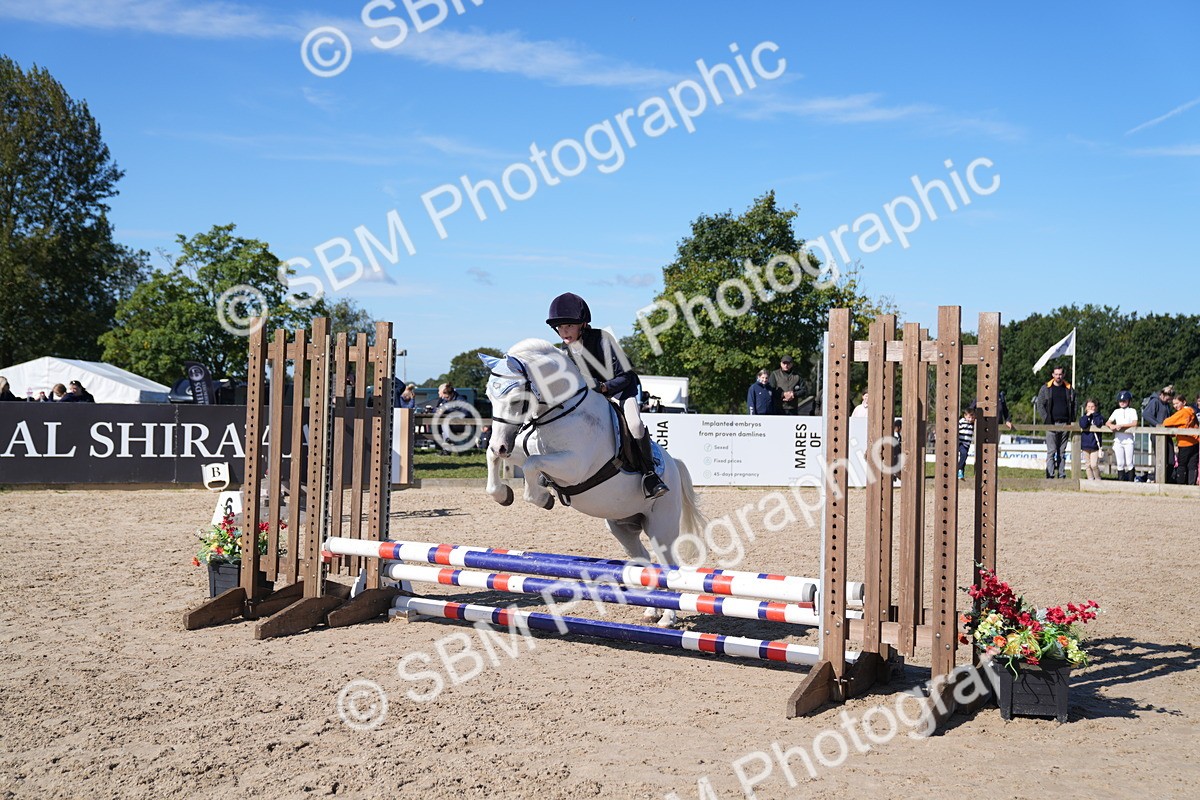 SBM_19388 - J57 - Clear Round 50cm