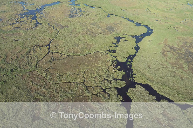 View of the Delta From the Air - Botswana ~ Various Other