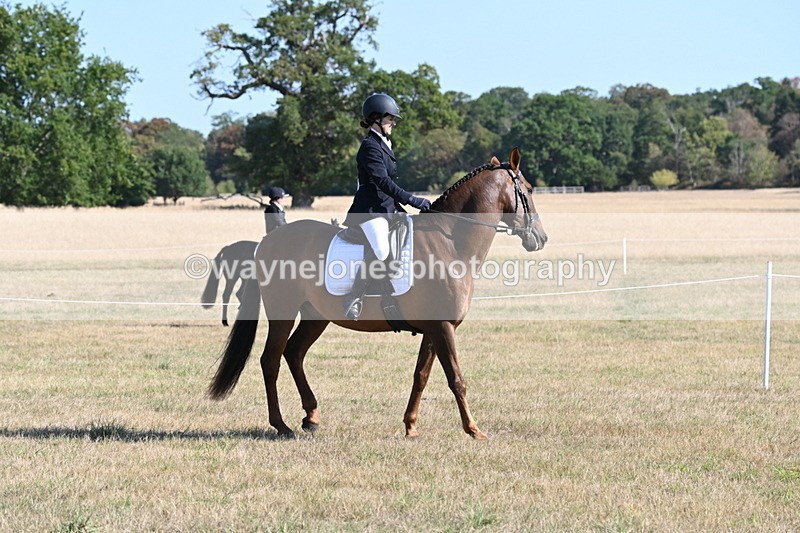 WJ6_7200 - Class 33 Rescue Pony
