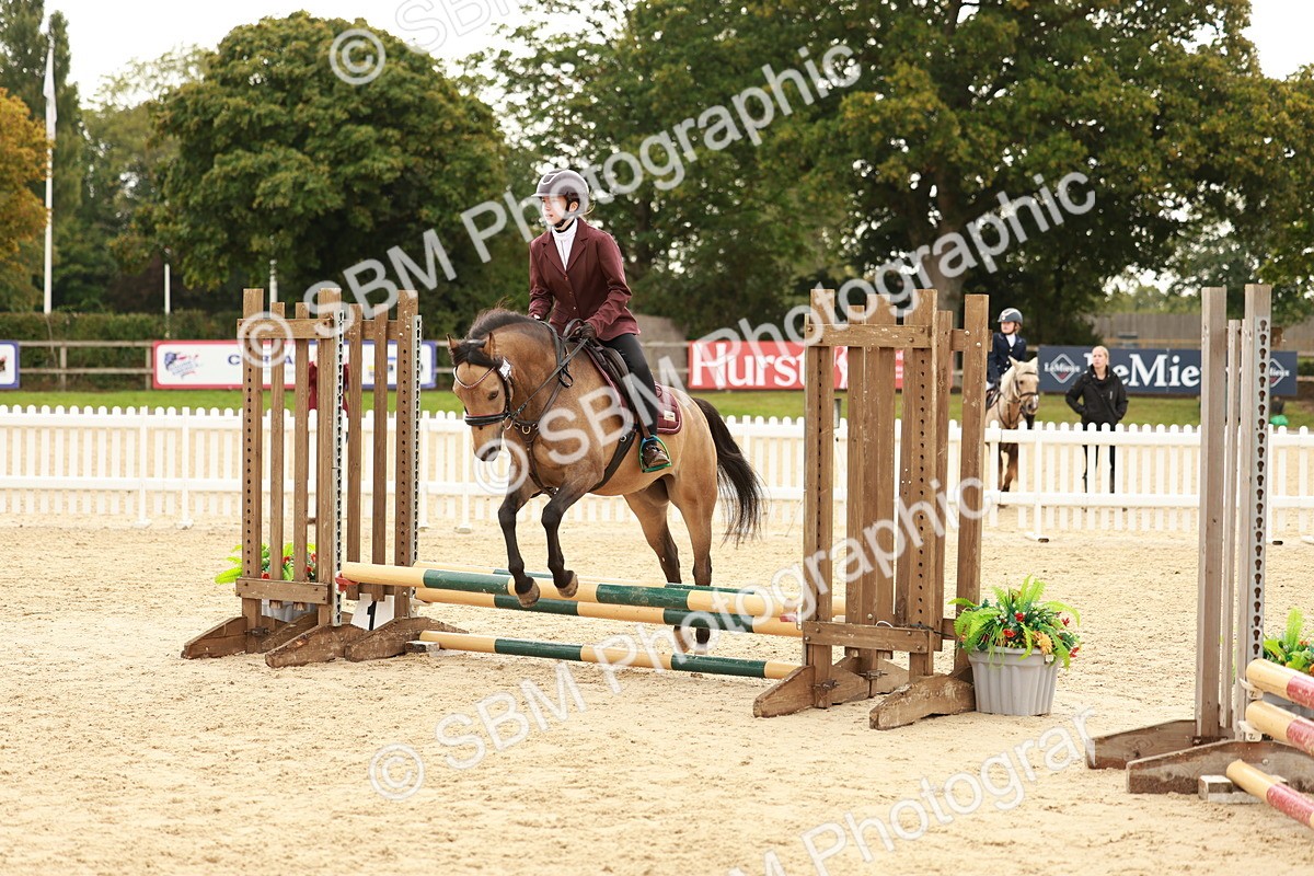 SBM_57839 - J11 - Junior Pony 50cm Championship