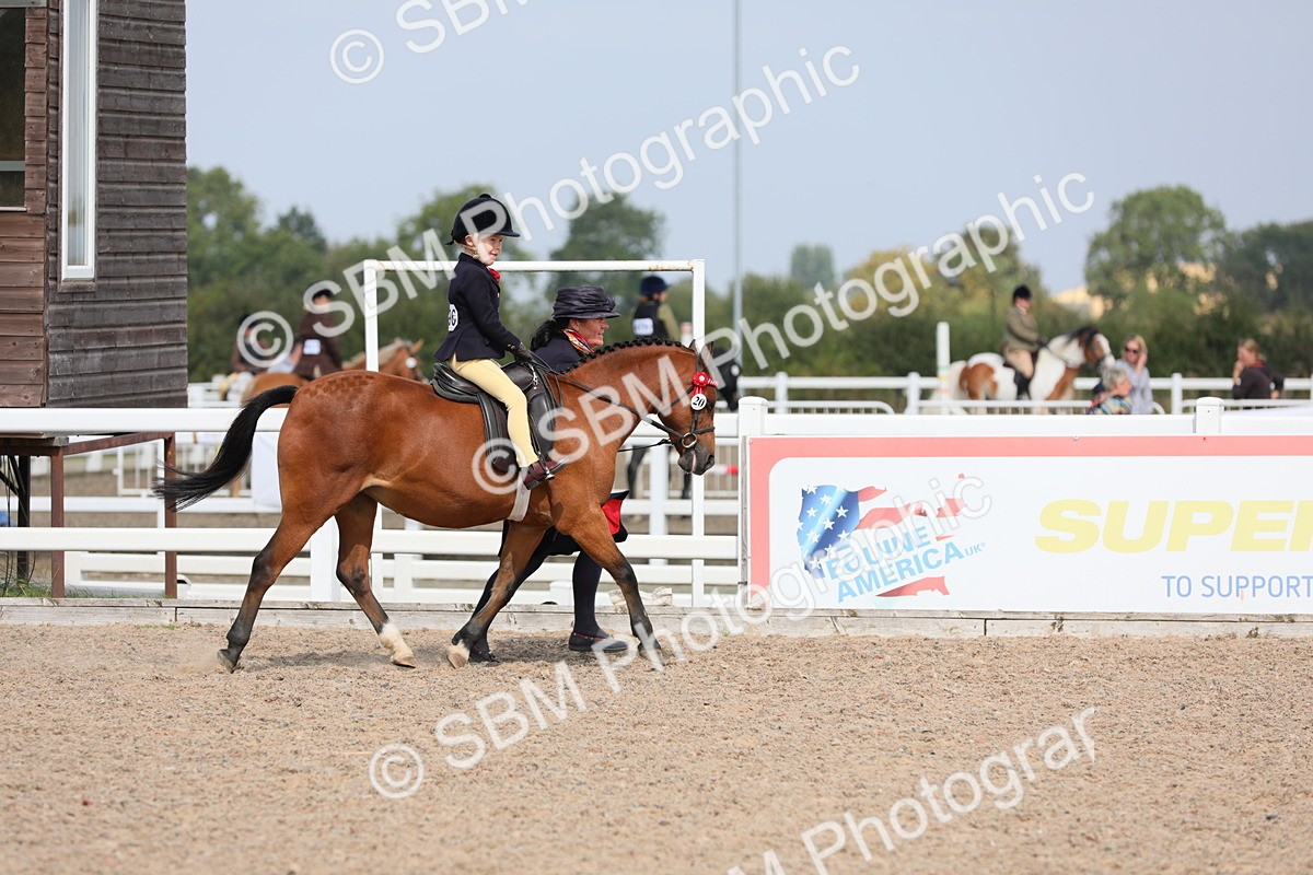 SBM_14056 - Class 309 Lead Rein Pony