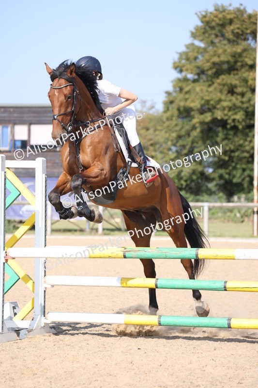 20250810-3464 - Class 7 - 1m