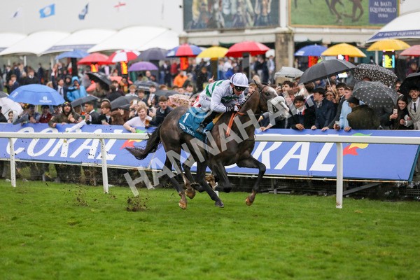121024-Race 5-Almeric-7323 - Race 5 3.55pm Coral Racing Club EBF Maiden Stakes