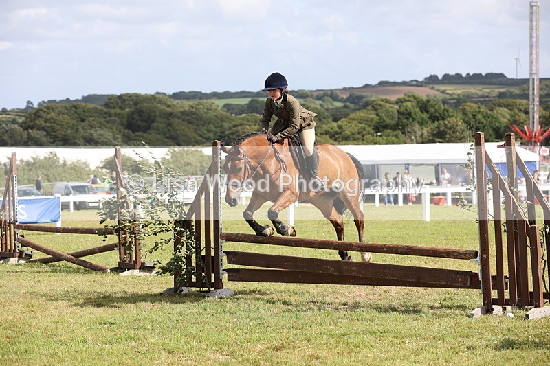 JPP_2632 - Class 20: Working Hunter 70cm