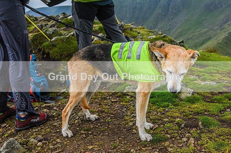 Grisedale Horseshoe-8 - Grisedale Horseshoe Fell Race Saturday 3rd September 2022