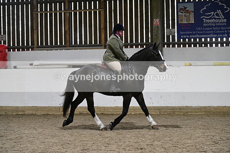 WJ7_3936 - Class 17 Ridden Cob