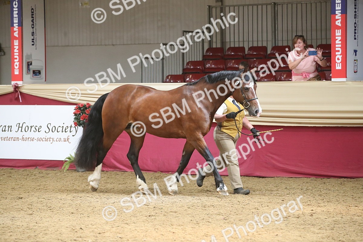 SBM_05551 - Class 9R - Regional IH Pre-Vet
